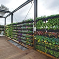 Innovative Ways to Integrate Vertical Gardening into Your Rooftop Garden Design