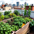 Creative Ways to Incorporate Edible Plants into Your Rooftop Garden Design