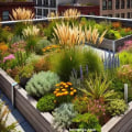 Incorporating Native Plants into Your Rooftop Garden Design