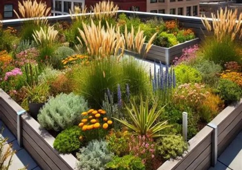 Incorporating Native Plants into Your Rooftop Garden Design