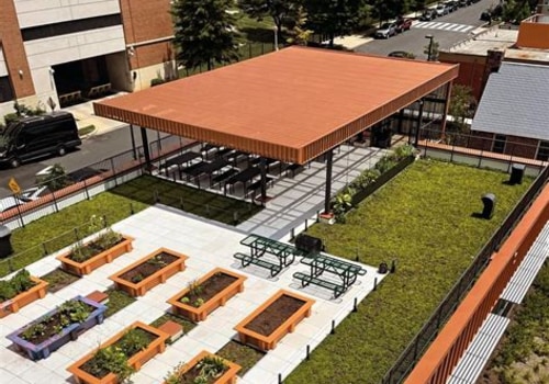 Innovative Ways to Integrate Educational Features into Your Rooftop Garden Design